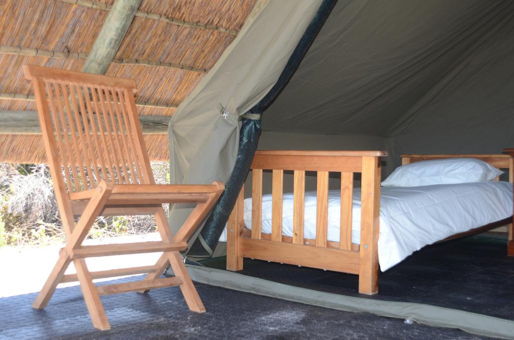 West Coast Luxury Tents Dwarskersbos المظهر الخارجي الصورة