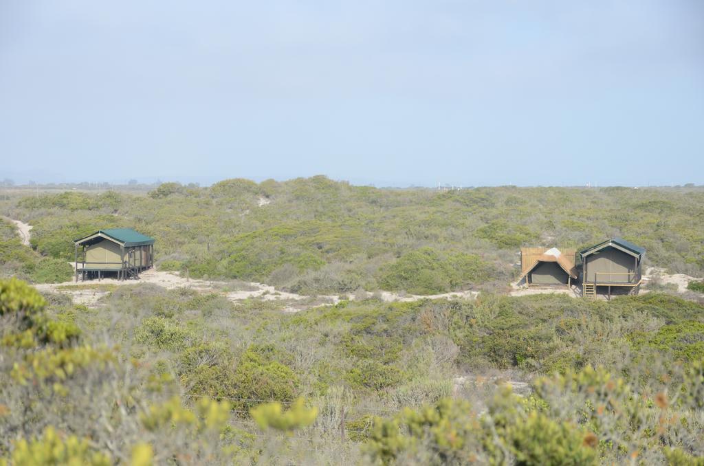 West Coast Luxury Tents Dwarskersbos المظهر الخارجي الصورة
