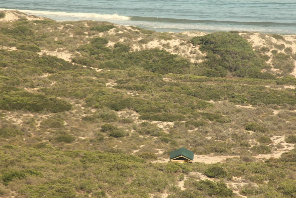 West Coast Luxury Tents Dwarskersbos المظهر الخارجي الصورة
