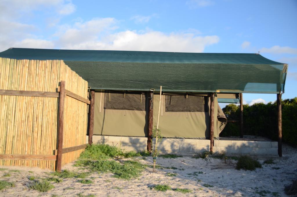 West Coast Luxury Tents Dwarskersbos المظهر الخارجي الصورة
