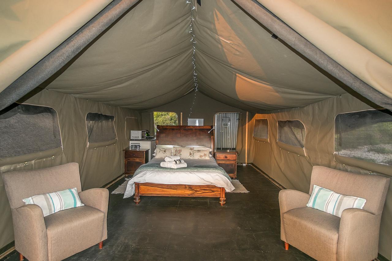 West Coast Luxury Tents Dwarskersbos المظهر الخارجي الصورة
